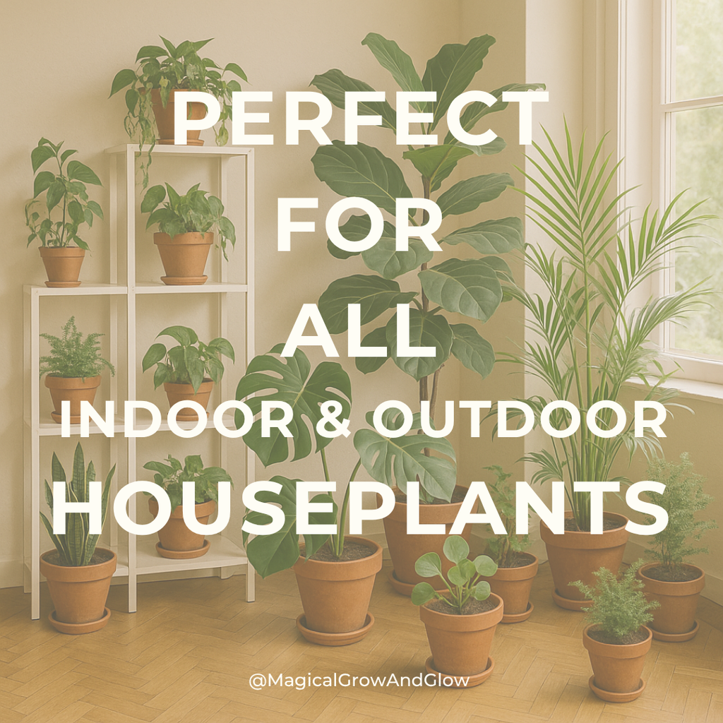 HOUSEPLANT FOOD 16 oz