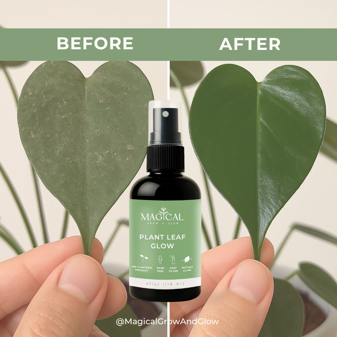PLANT LEAF GLOW 4 oz