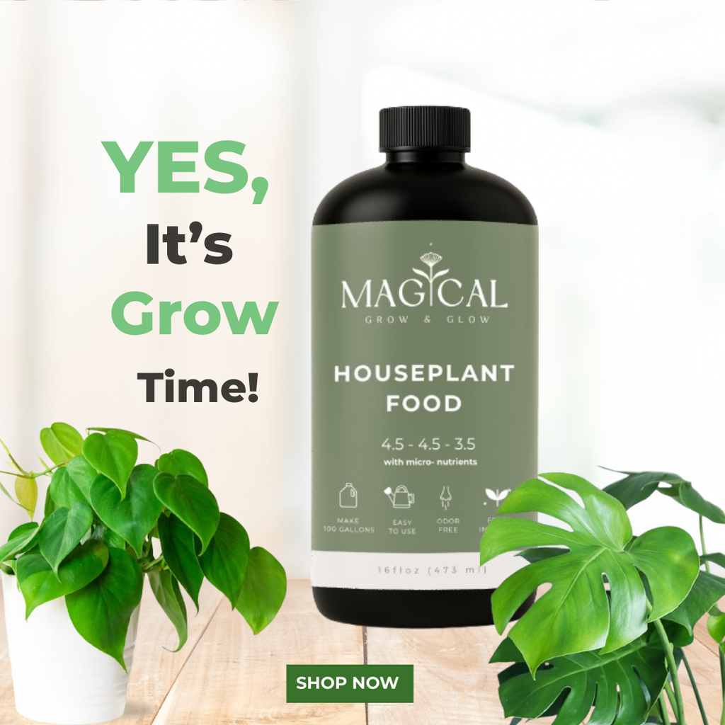 HOUSEPLANT FOOD 16 oz