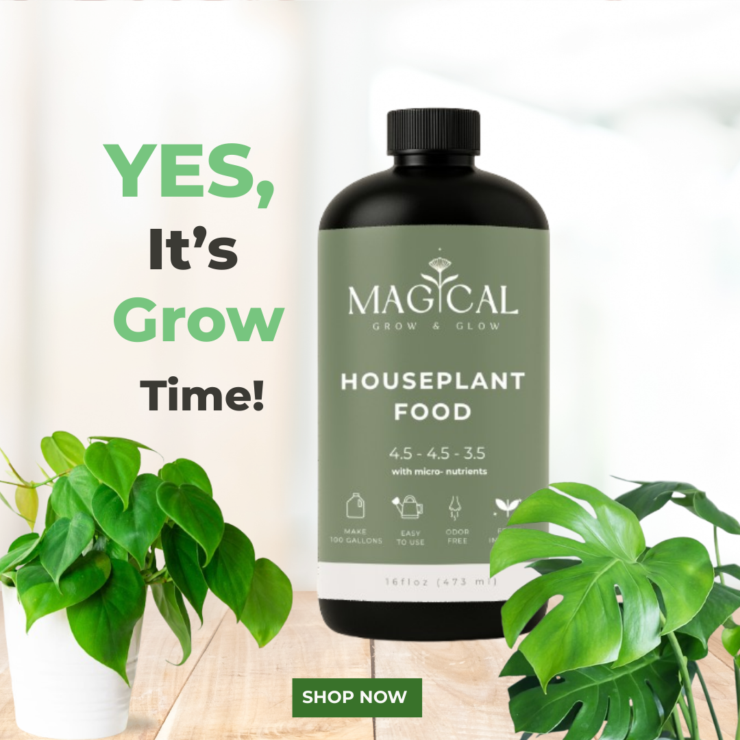 HOUSEPLANT FOOD 16 oz