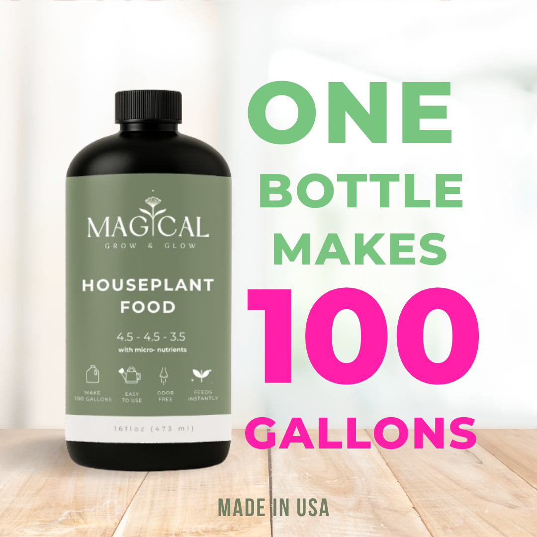 HOUSEPLANT FOOD 16 oz