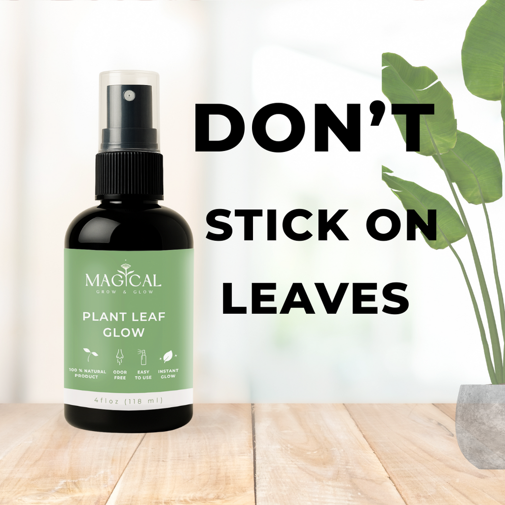 PLANT LEAF GLOW 4 oz