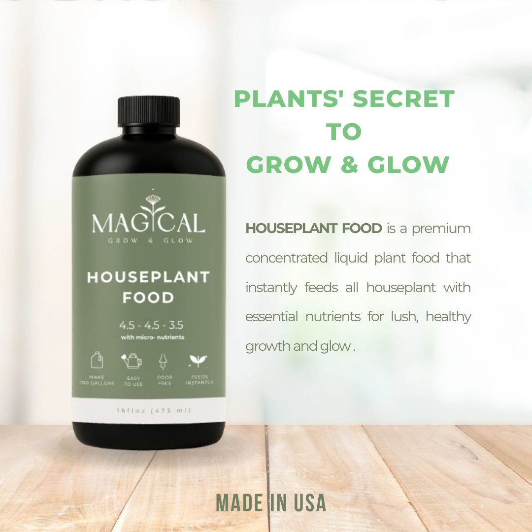 HOUSEPLANT FOOD 16 oz