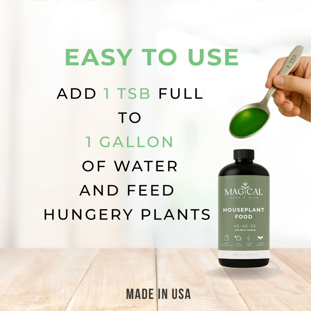 HOUSEPLANT FOOD 16 oz