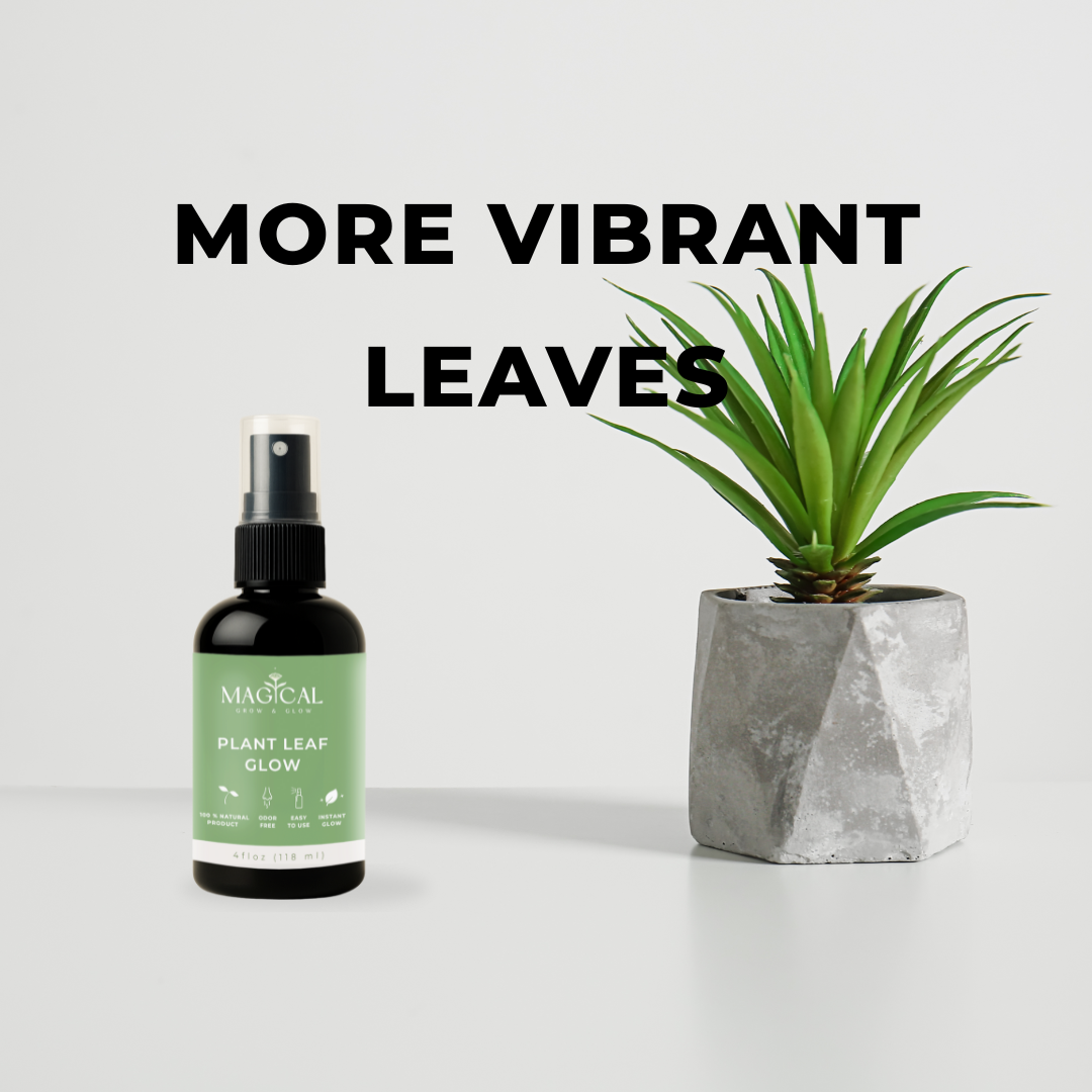 PLANT LEAF GLOW 4 oz