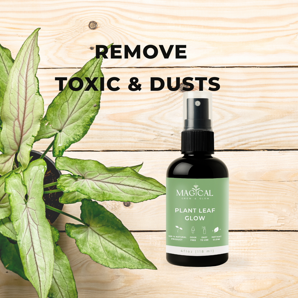 PLANT LEAF GLOW 4 oz