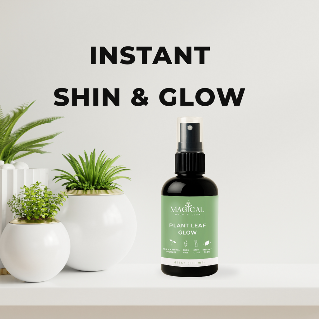 PLANT LEAF GLOW 4 oz